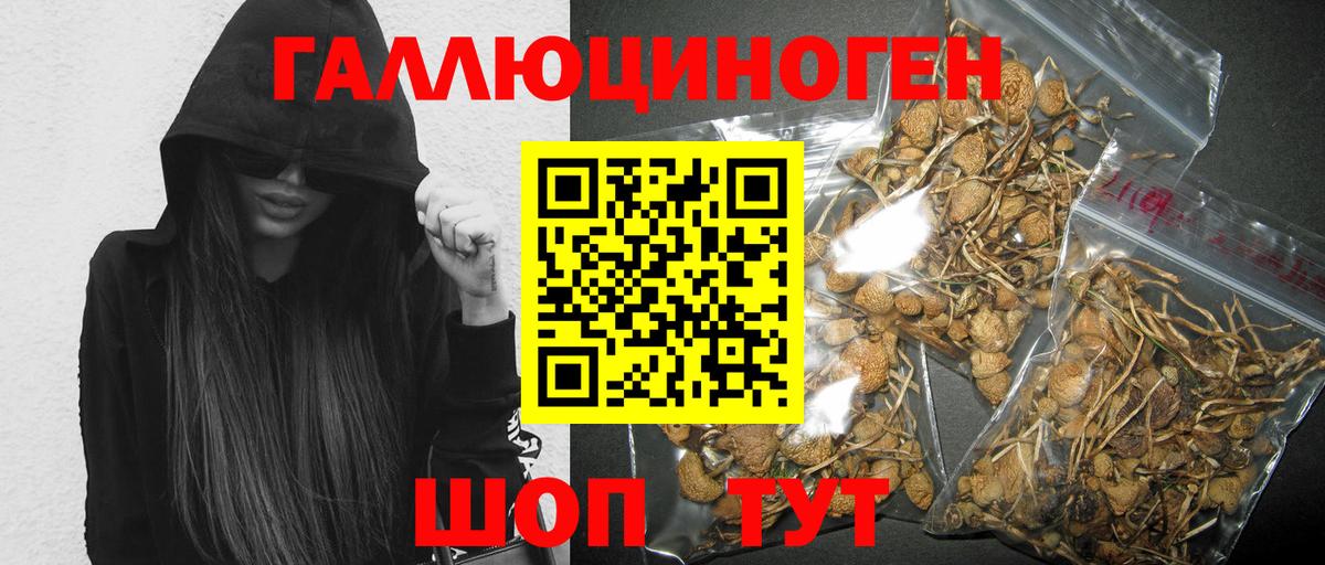 Азов  Псилоцибиновые грибы Psilocybe  купить наркотик  Вход с VPN 